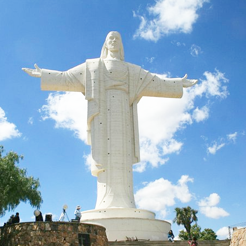 Air Ambulance in Bolivia